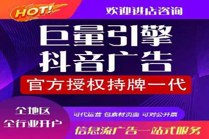 案例研究：SEM代运营服务公司的创新策略